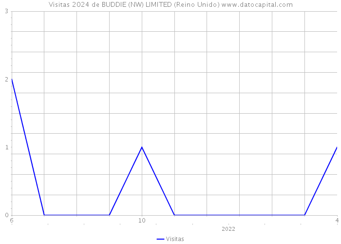 Visitas 2024 de BUDDIE (NW) LIMITED (Reino Unido) 