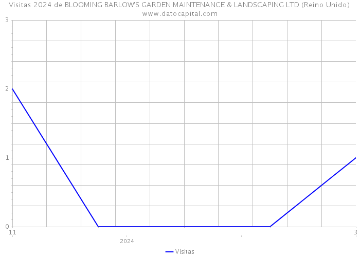 Visitas 2024 de BLOOMING BARLOW'S GARDEN MAINTENANCE & LANDSCAPING LTD (Reino Unido) 