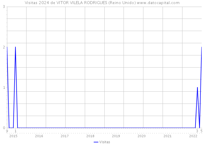 Visitas 2024 de VITOR VILELA RODRIGUES (Reino Unido) 