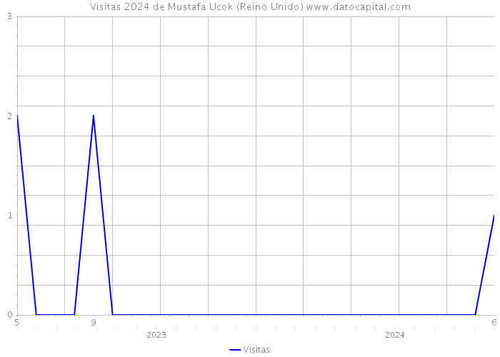 Visitas 2024 de Mustafa Ucok (Reino Unido) 