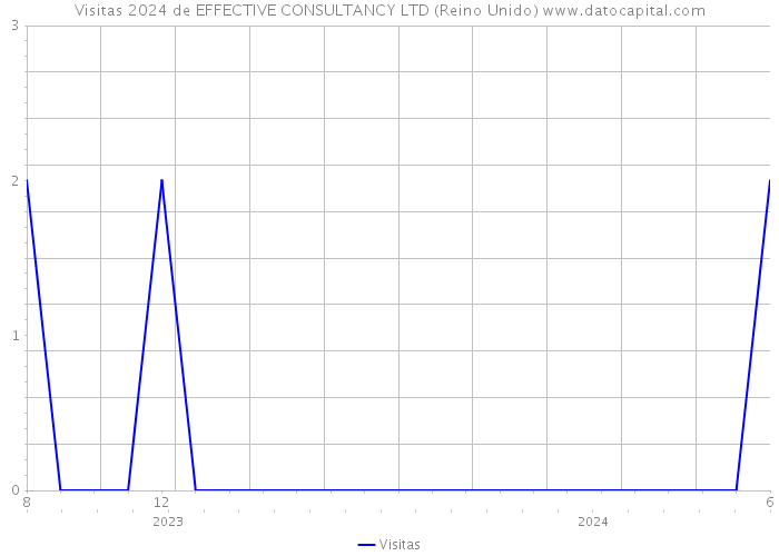 Visitas 2024 de EFFECTIVE CONSULTANCY LTD (Reino Unido) 