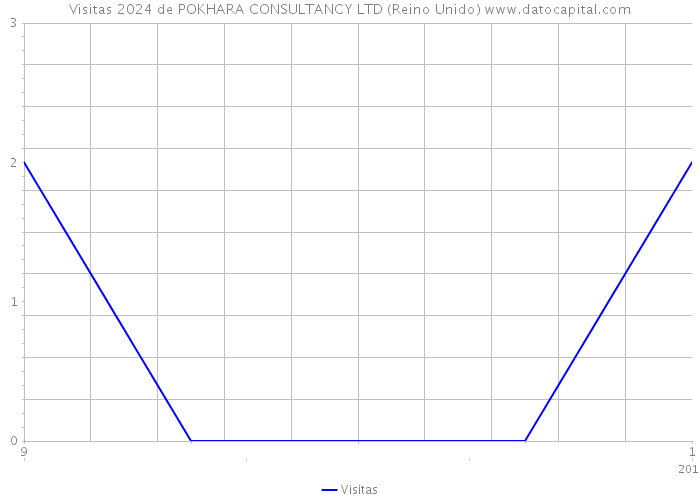 Visitas 2024 de POKHARA CONSULTANCY LTD (Reino Unido) 