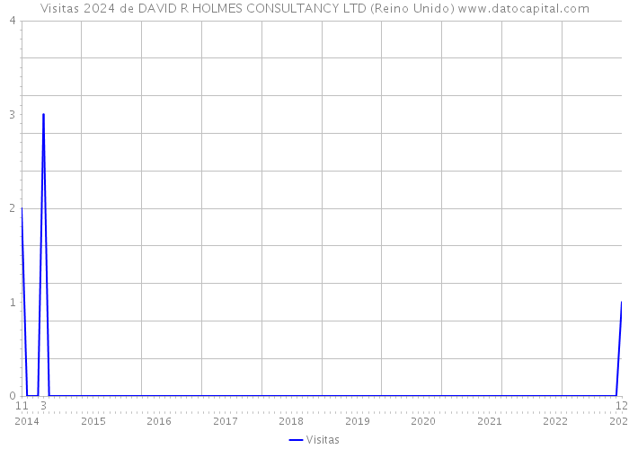 Visitas 2024 de DAVID R HOLMES CONSULTANCY LTD (Reino Unido) 