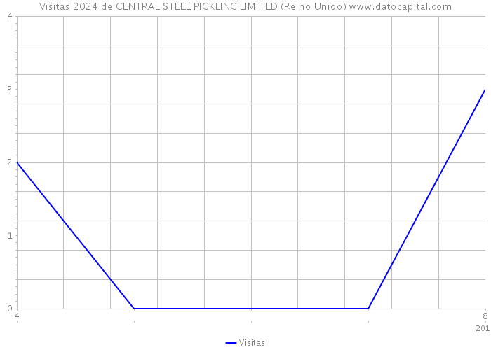 Visitas 2024 de CENTRAL STEEL PICKLING LIMITED (Reino Unido) 