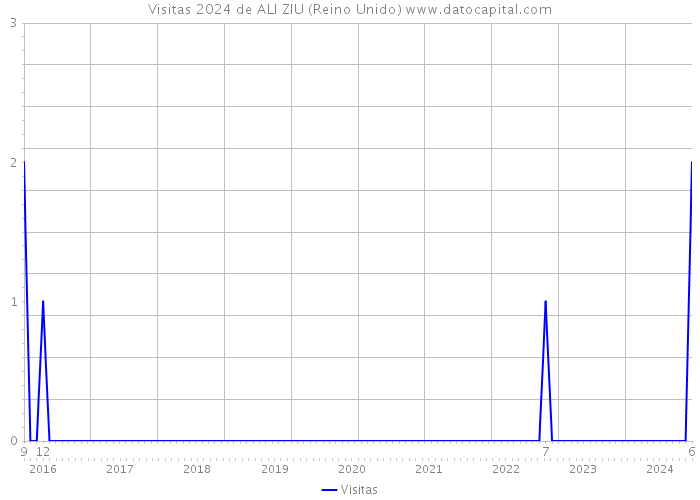Visitas 2024 de ALI ZIU (Reino Unido) 