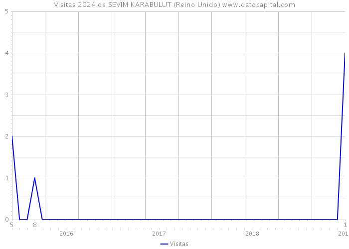 Visitas 2024 de SEVIM KARABULUT (Reino Unido) 