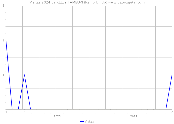 Visitas 2024 de KELLY TAMBURI (Reino Unido) 