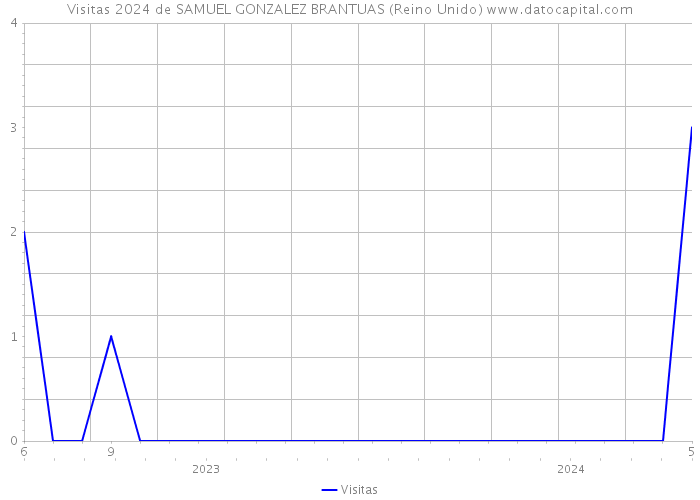 Visitas 2024 de SAMUEL GONZALEZ BRANTUAS (Reino Unido) 