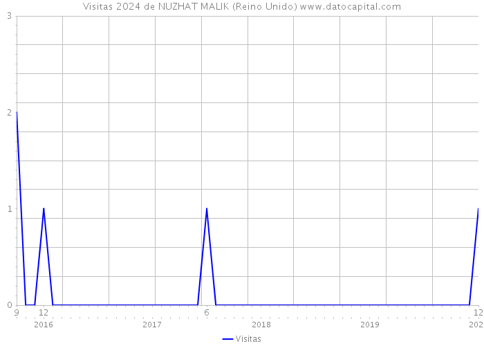 Visitas 2024 de NUZHAT MALIK (Reino Unido) 