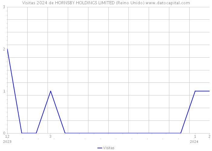 Visitas 2024 de HORNSBY HOLDINGS LIMITED (Reino Unido) 