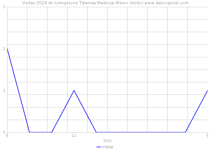 Visitas 2024 de Livingstone Tatenda Madziya (Reino Unido) 