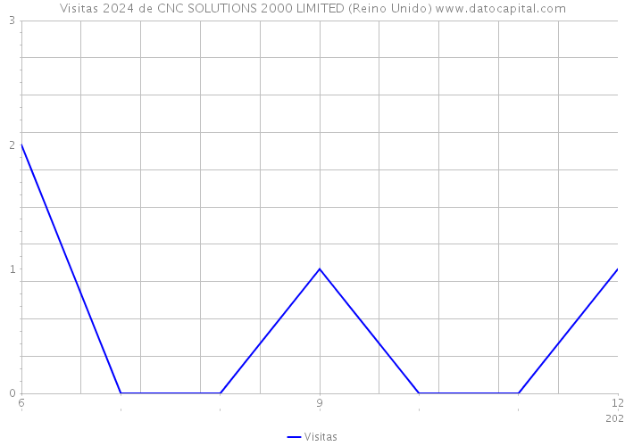 Visitas 2024 de CNC SOLUTIONS 2000 LIMITED (Reino Unido) 