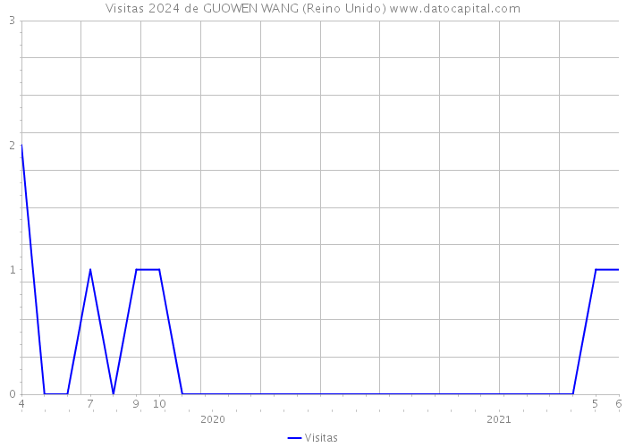 Visitas 2024 de GUOWEN WANG (Reino Unido) 