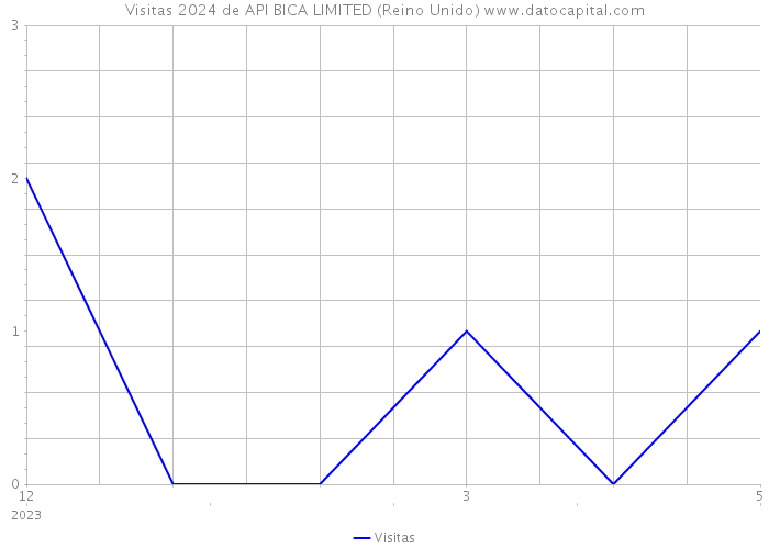 Visitas 2024 de API BICA LIMITED (Reino Unido) 