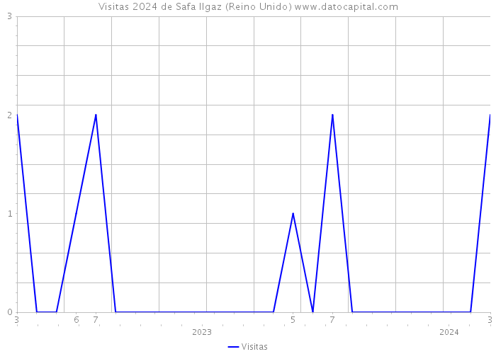 Visitas 2024 de Safa Ilgaz (Reino Unido) 