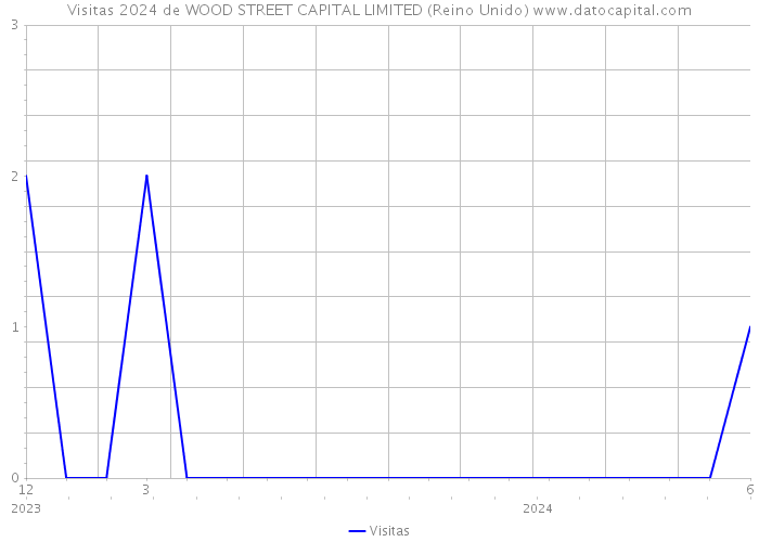 Visitas 2024 de WOOD STREET CAPITAL LIMITED (Reino Unido) 