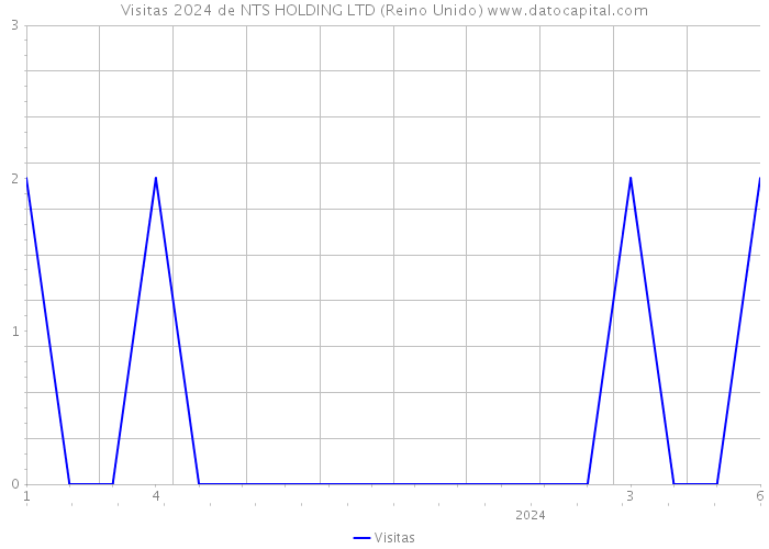 Visitas 2024 de NTS HOLDING LTD (Reino Unido) 