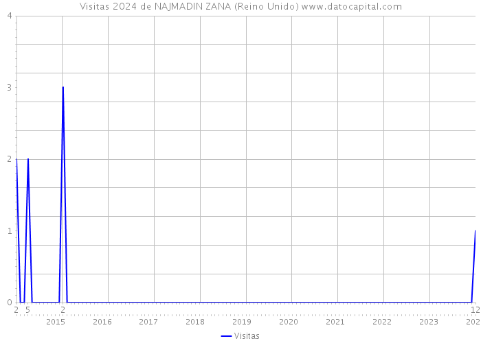 Visitas 2024 de NAJMADIN ZANA (Reino Unido) 