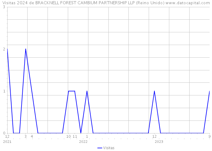 Visitas 2024 de BRACKNELL FOREST CAMBIUM PARTNERSHIP LLP (Reino Unido) 