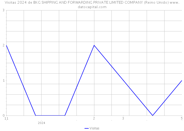 Visitas 2024 de BKG SHIPPING AND FORWARDING PRIVATE LIMITED COMPANY (Reino Unido) 