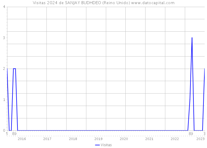 Visitas 2024 de SANJAY BUDHDEO (Reino Unido) 