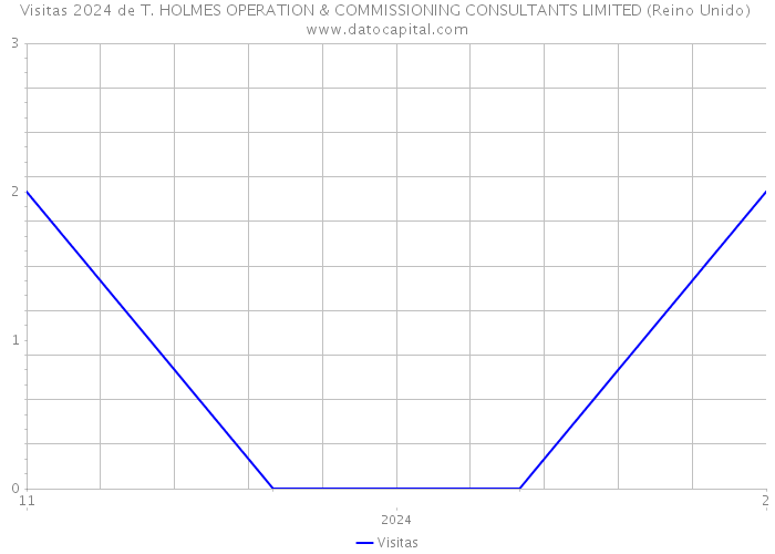 Visitas 2024 de T. HOLMES OPERATION & COMMISSIONING CONSULTANTS LIMITED (Reino Unido) 
