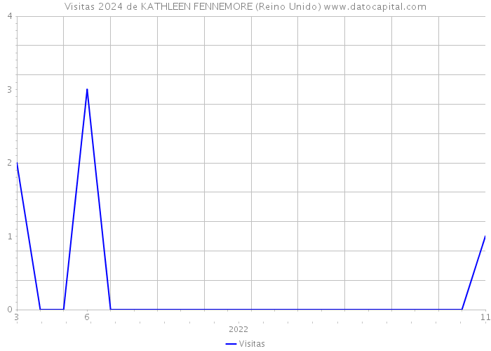 Visitas 2024 de KATHLEEN FENNEMORE (Reino Unido) 