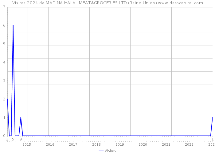 Visitas 2024 de MADINA HALAL MEAT&GROCERIES LTD (Reino Unido) 