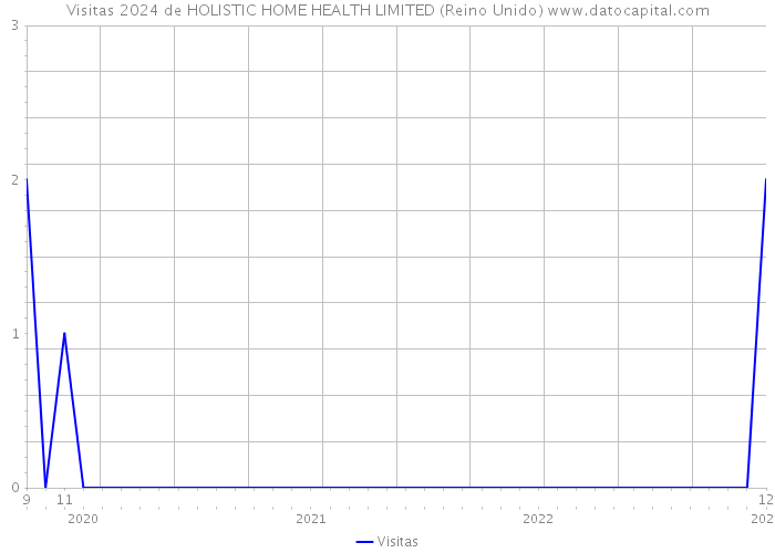 Visitas 2024 de HOLISTIC HOME HEALTH LIMITED (Reino Unido) 