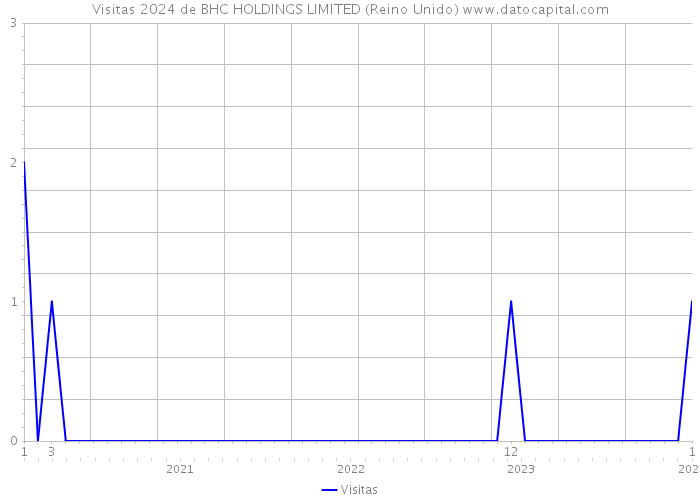 Visitas 2024 de BHC HOLDINGS LIMITED (Reino Unido) 