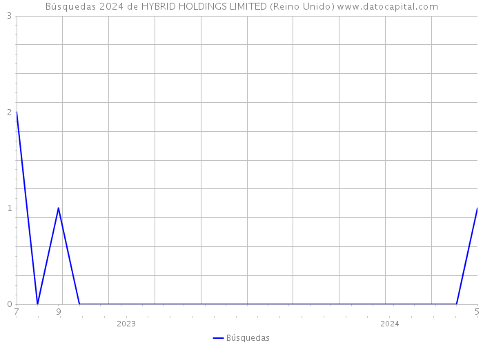 Búsquedas 2024 de HYBRID HOLDINGS LIMITED (Reino Unido) 