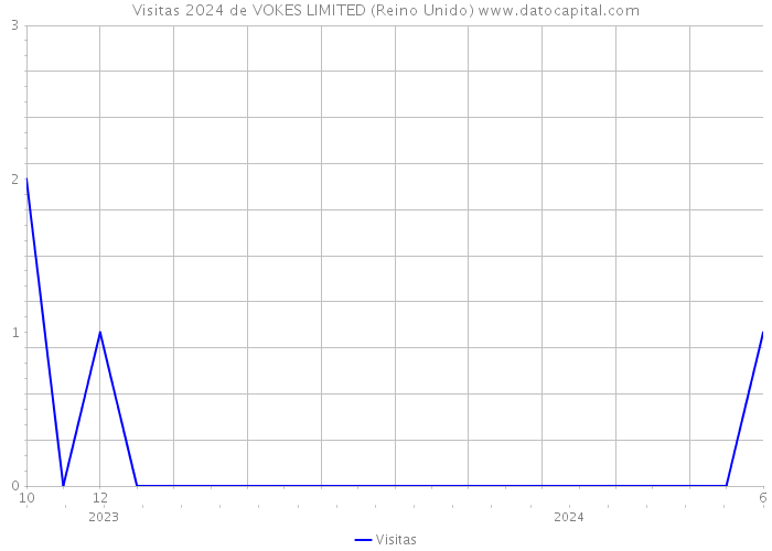 Visitas 2024 de VOKES LIMITED (Reino Unido) 