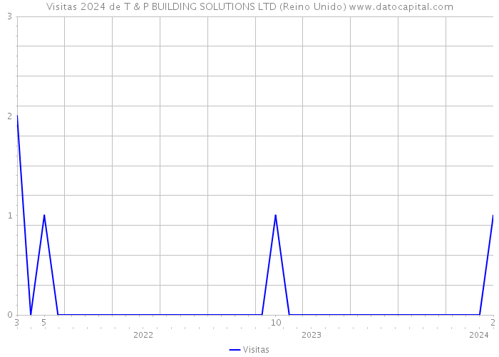 Visitas 2024 de T & P BUILDING SOLUTIONS LTD (Reino Unido) 