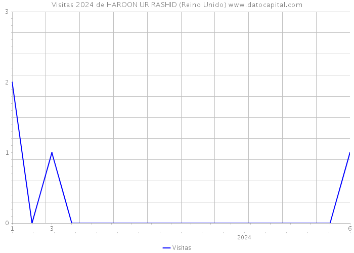 Visitas 2024 de HAROON UR RASHID (Reino Unido) 