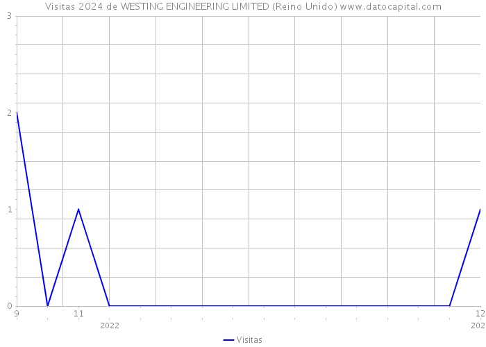 Visitas 2024 de WESTING ENGINEERING LIMITED (Reino Unido) 