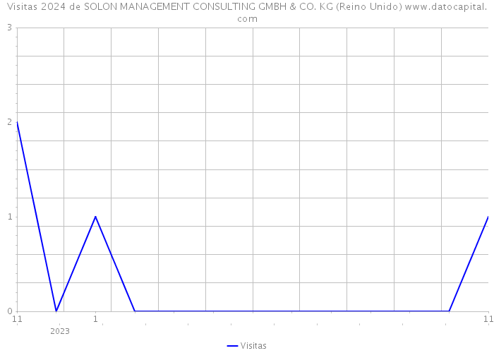Visitas 2024 de SOLON MANAGEMENT CONSULTING GMBH & CO. KG (Reino Unido) 