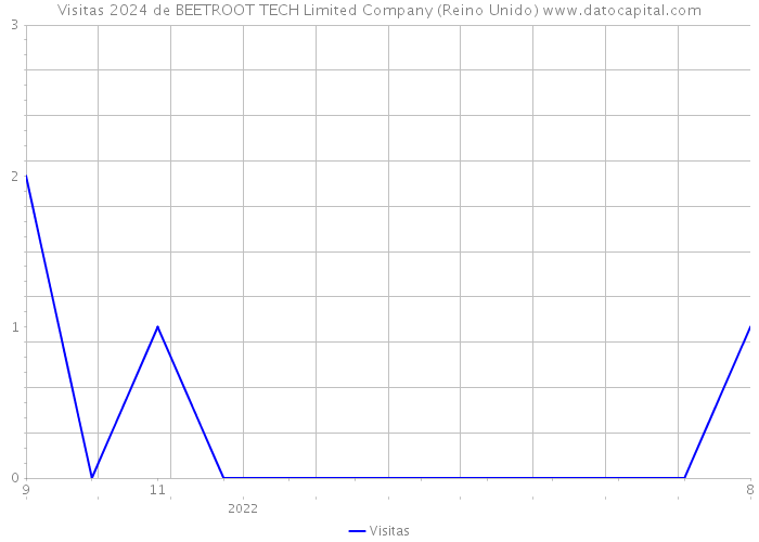 Visitas 2024 de BEETROOT TECH Limited Company (Reino Unido) 