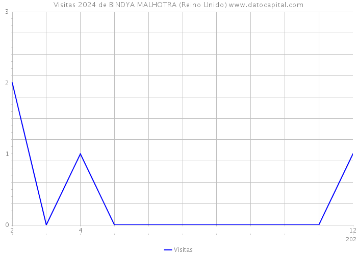 Visitas 2024 de BINDYA MALHOTRA (Reino Unido) 