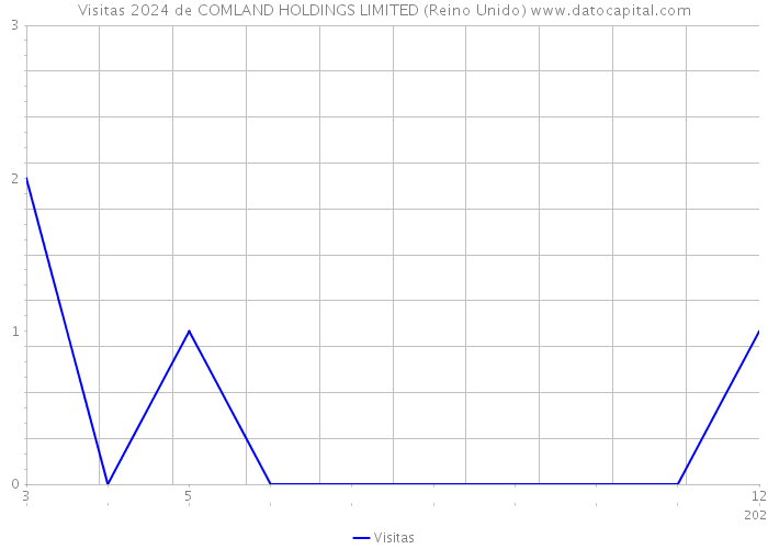 Visitas 2024 de COMLAND HOLDINGS LIMITED (Reino Unido) 