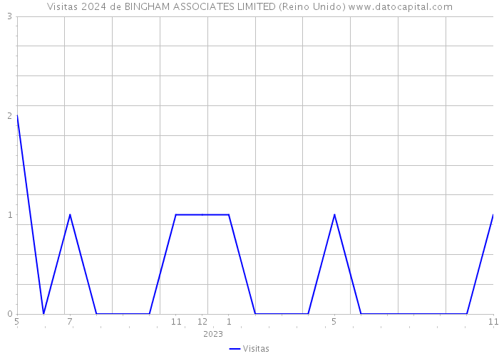 Visitas 2024 de BINGHAM ASSOCIATES LIMITED (Reino Unido) 