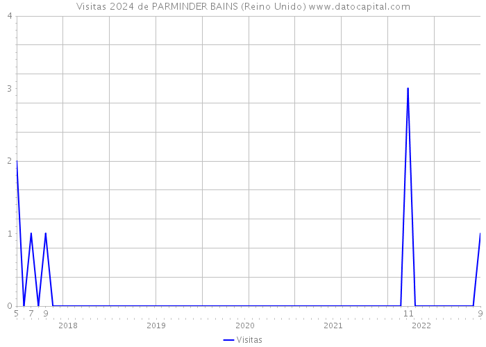 Visitas 2024 de PARMINDER BAINS (Reino Unido) 