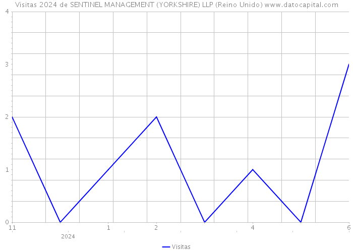 Visitas 2024 de SENTINEL MANAGEMENT (YORKSHIRE) LLP (Reino Unido) 