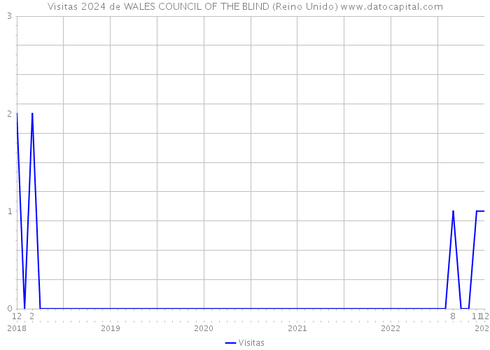 Visitas 2024 de WALES COUNCIL OF THE BLIND (Reino Unido) 
