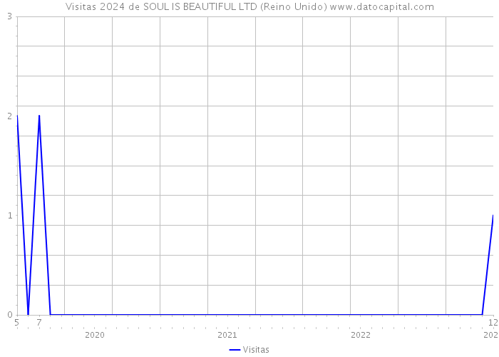 Visitas 2024 de SOUL IS BEAUTIFUL LTD (Reino Unido) 