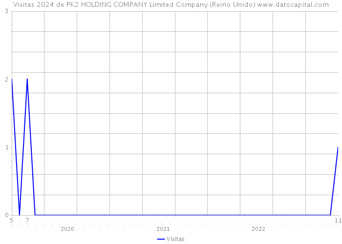 Visitas 2024 de PK2 HOLDING COMPANY Limited Company (Reino Unido) 