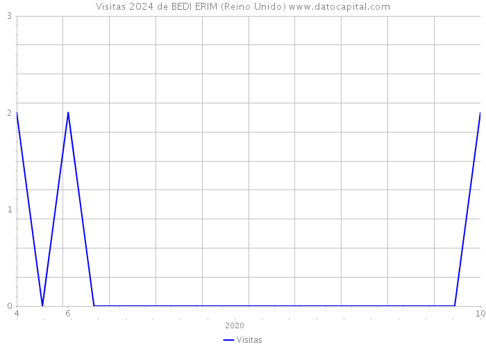 Visitas 2024 de BEDI ERIM (Reino Unido) 