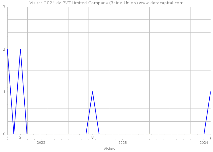 Visitas 2024 de PVT Limited Company (Reino Unido) 