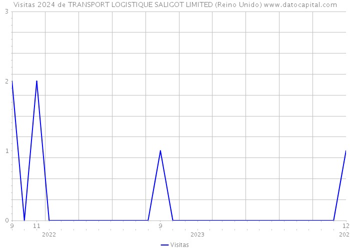 Visitas 2024 de TRANSPORT LOGISTIQUE SALIGOT LIMITED (Reino Unido) 