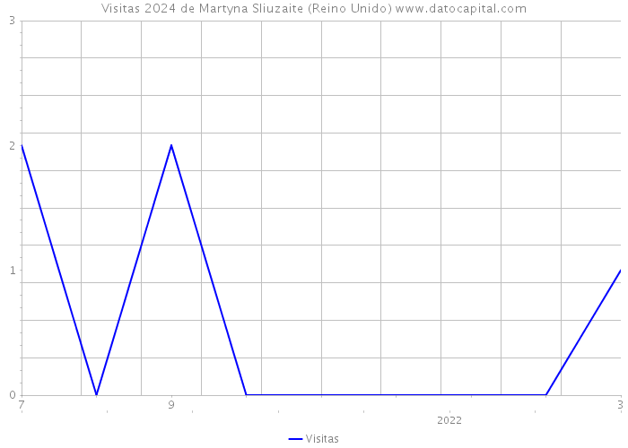 Visitas 2024 de Martyna Sliuzaite (Reino Unido) 