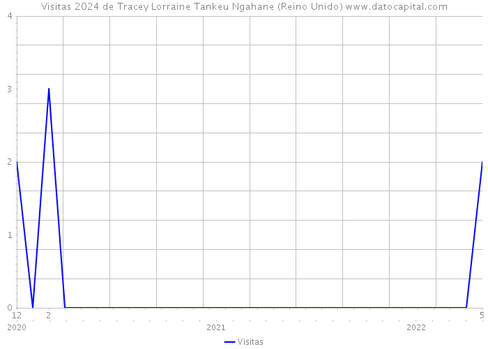 Visitas 2024 de Tracey Lorraine Tankeu Ngahane (Reino Unido) 